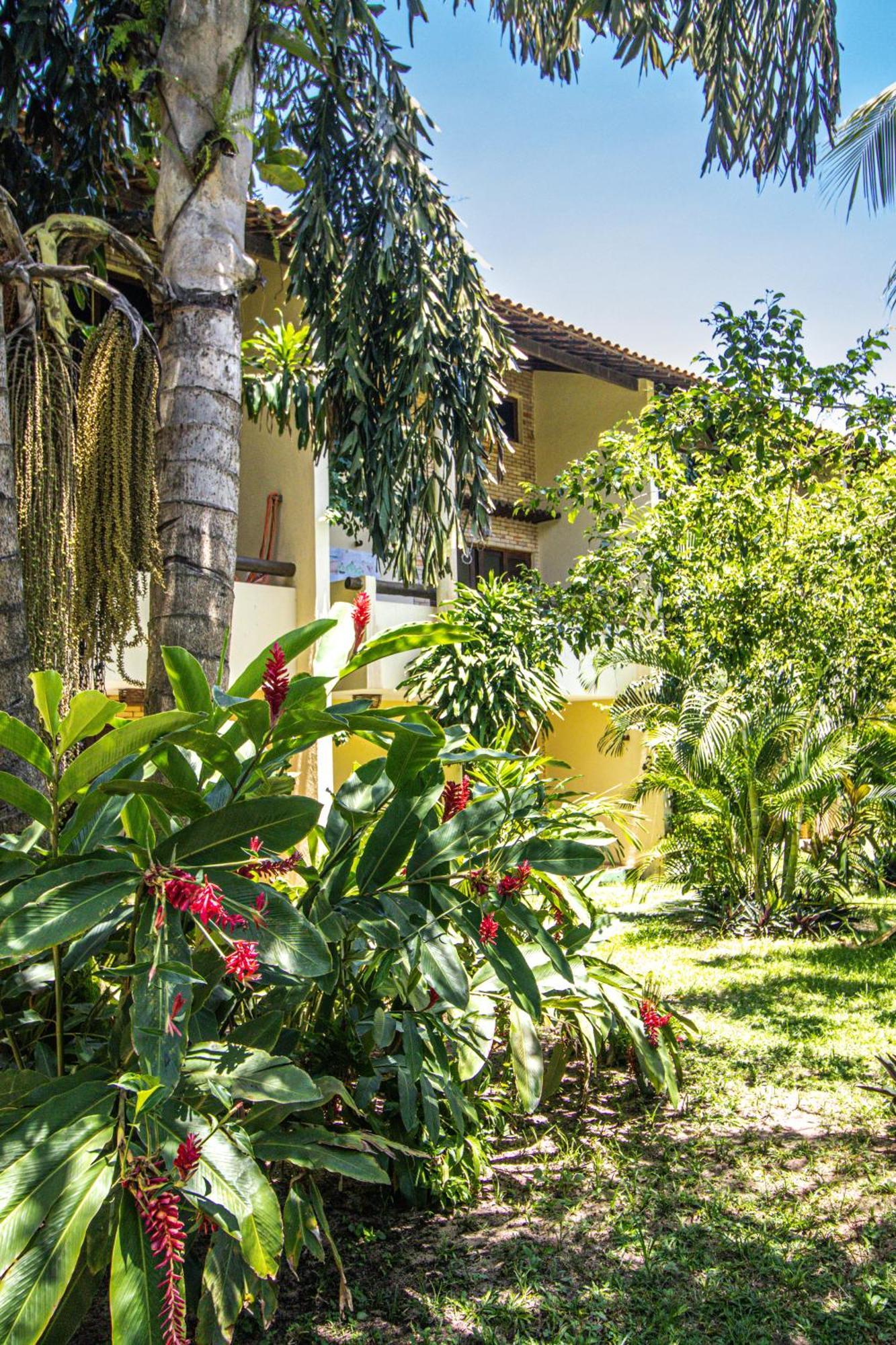 Solar Pipa - Solar Da Gameleira Flats Villa Praia de Pipa Exteriör bild
