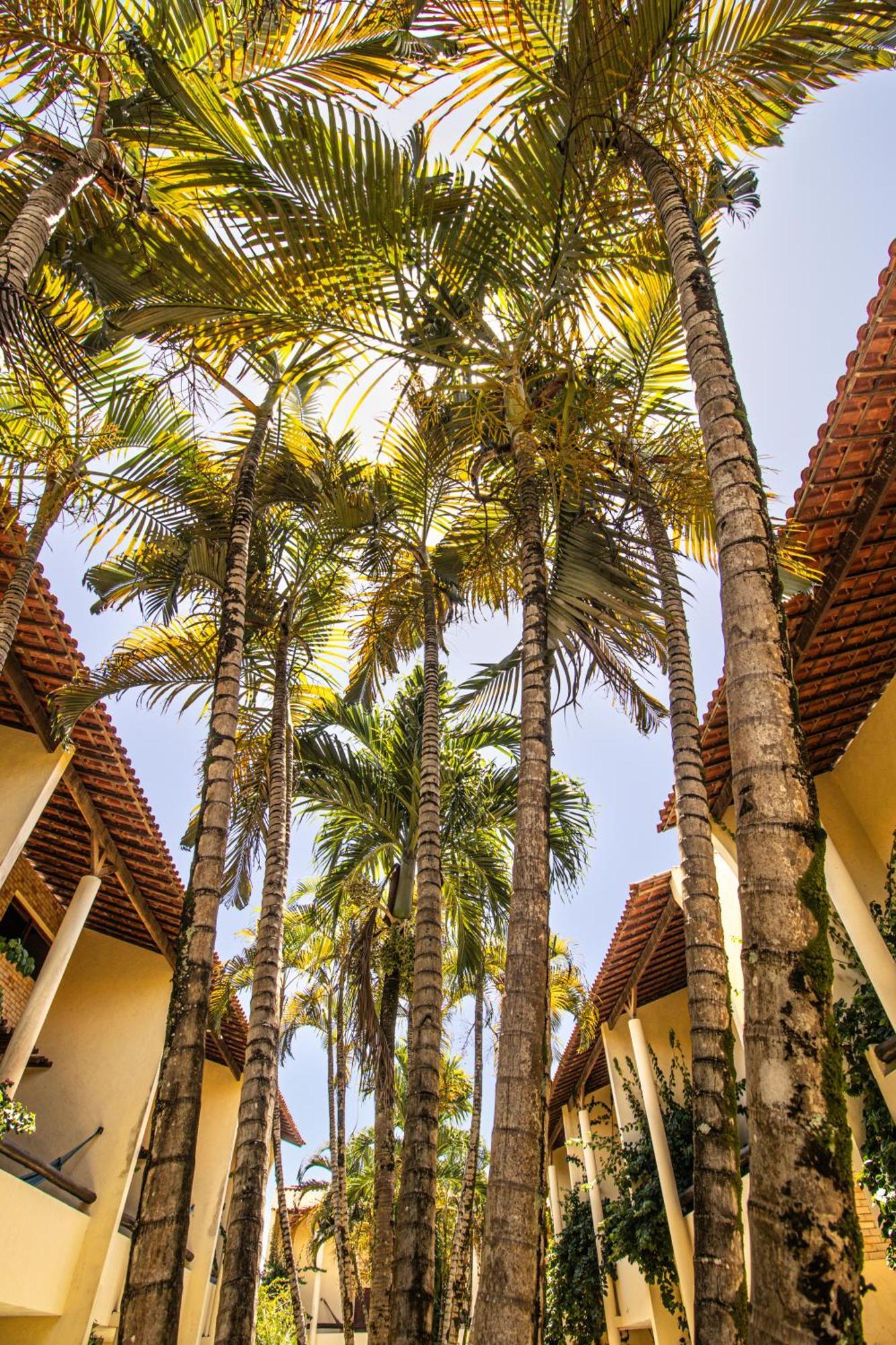 Solar Pipa - Solar Da Gameleira Flats Villa Praia de Pipa Exteriör bild